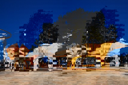 Striking Aussie natives sparkle in Dulux colours