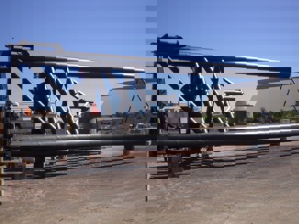 Barrow Island Dolphins, WA