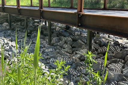 A Beautiful Addition to the ACT's Natural Landscape