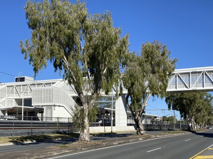 Yeronga & Fairfield Stations, QLD