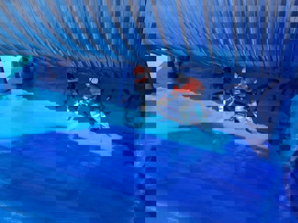 Gippsland Water Factory Vortex Pond, VIC