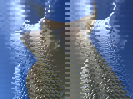 Jacob's Ladder, Gibbs Farm, Kaipara Harbour, NZ